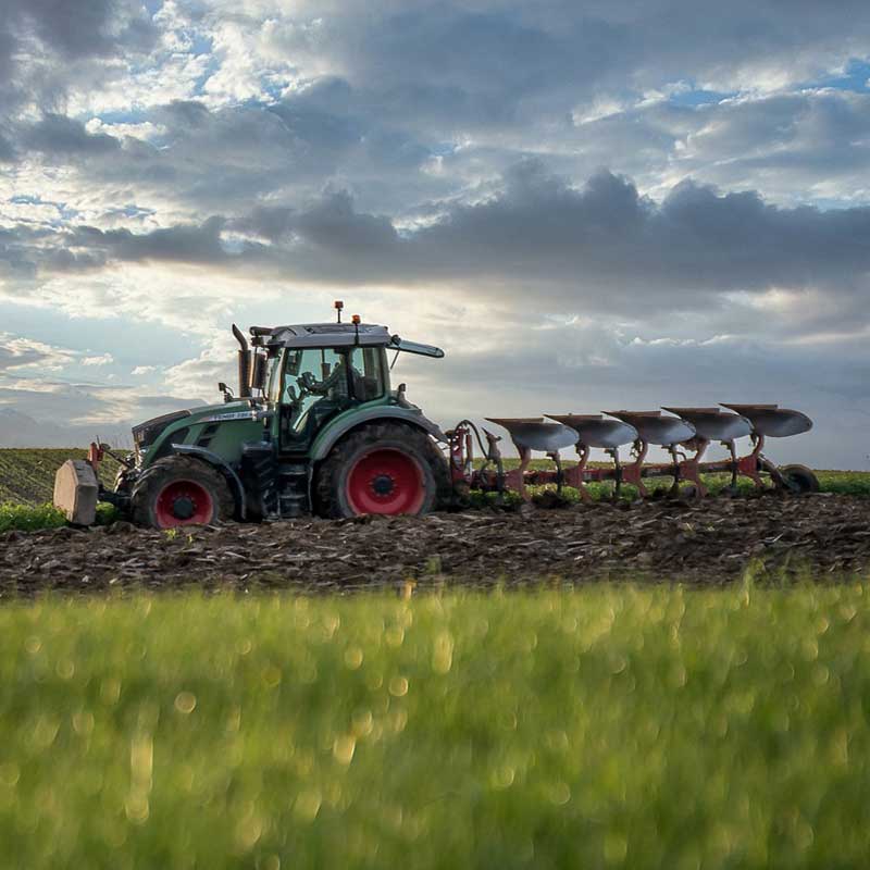 Waka Farm | Waka Data Solutions Waka Farm | Waka Data Solutions